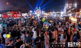 狂欢之夜爆料视频大全,视频大全带你领略激情瞬间